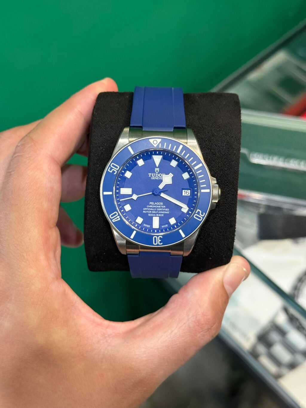 TUDOR PELAGOS