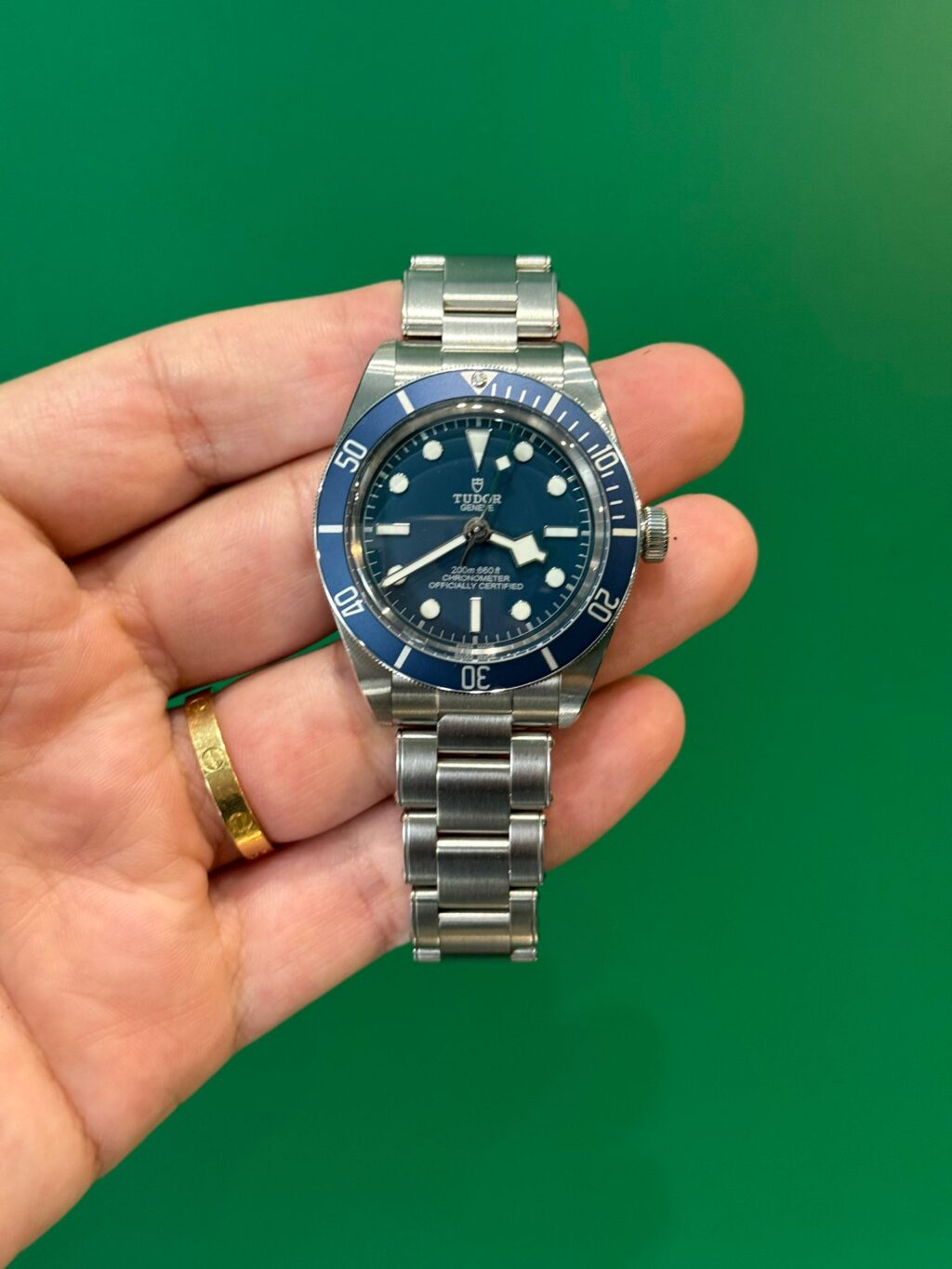 TUDOR BLACK BAY 58